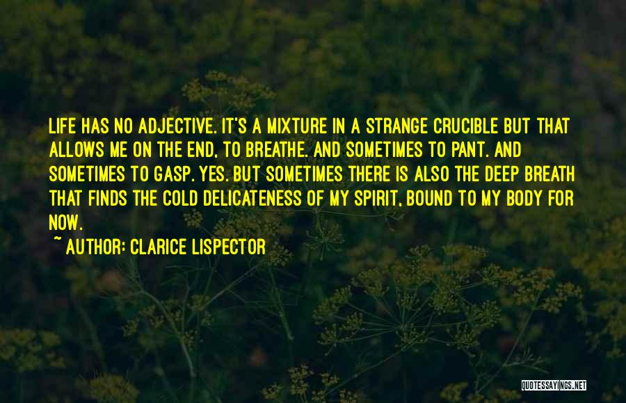 Clarice Lispector Quotes: Life Has No Adjective. It's A Mixture In A Strange Crucible But That Allows Me On The End, To Breathe.