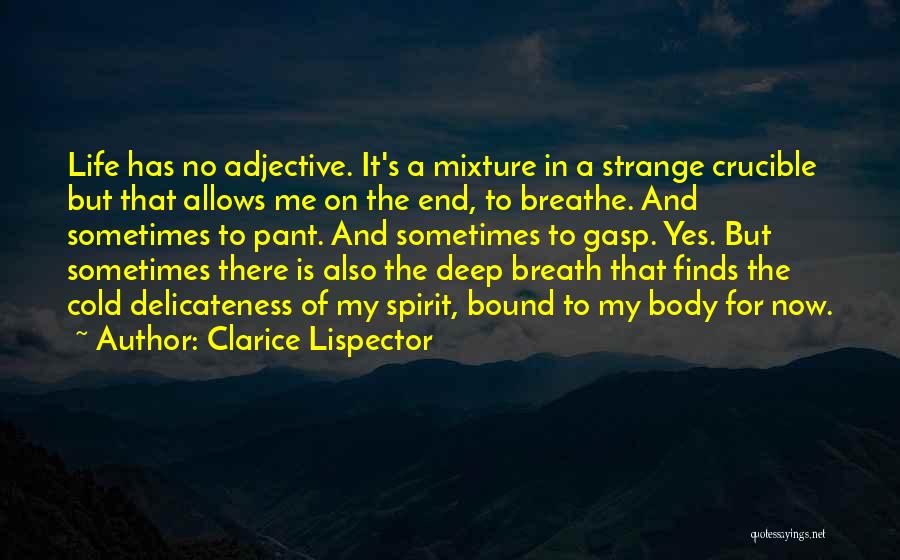 Clarice Lispector Quotes: Life Has No Adjective. It's A Mixture In A Strange Crucible But That Allows Me On The End, To Breathe.