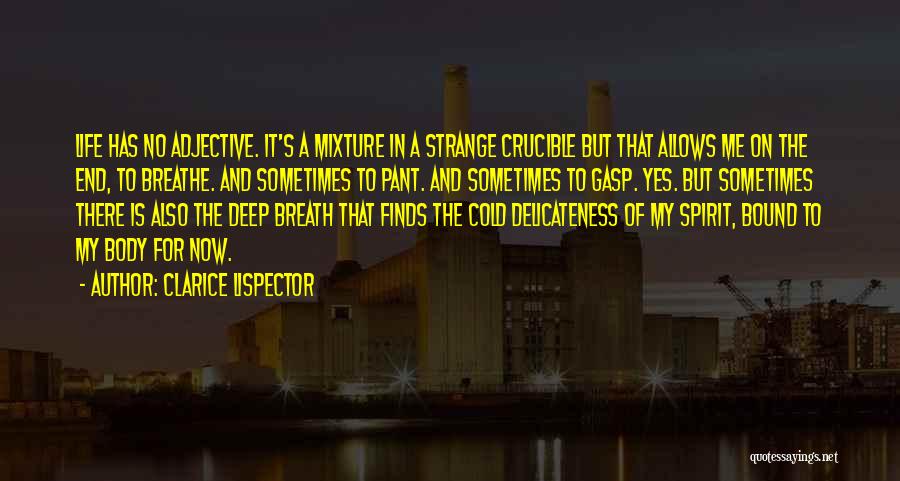 Clarice Lispector Quotes: Life Has No Adjective. It's A Mixture In A Strange Crucible But That Allows Me On The End, To Breathe.