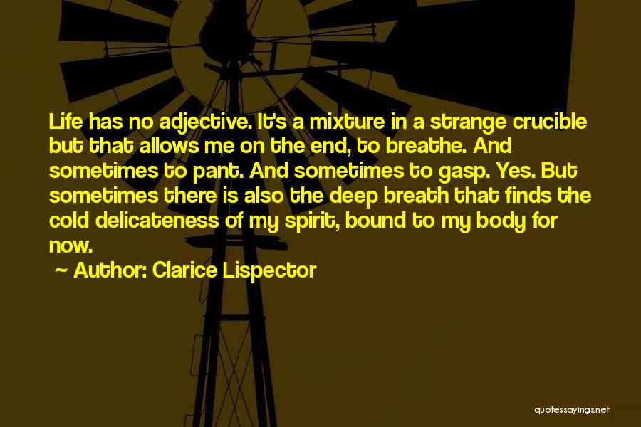 Clarice Lispector Quotes: Life Has No Adjective. It's A Mixture In A Strange Crucible But That Allows Me On The End, To Breathe.