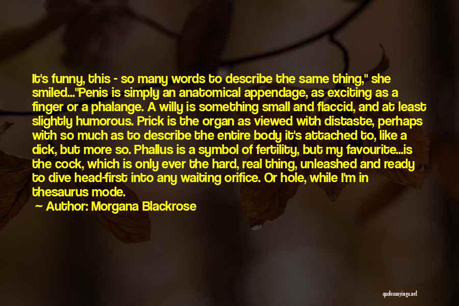 Morgana Blackrose Quotes: It's Funny, This - So Many Words To Describe The Same Thing, She Smiled...penis Is Simply An Anatomical Appendage, As