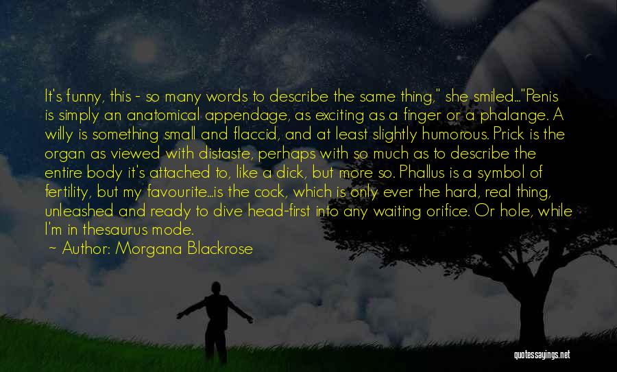 Morgana Blackrose Quotes: It's Funny, This - So Many Words To Describe The Same Thing, She Smiled...penis Is Simply An Anatomical Appendage, As