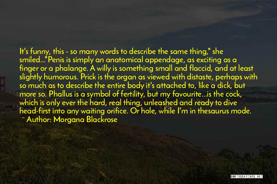 Morgana Blackrose Quotes: It's Funny, This - So Many Words To Describe The Same Thing, She Smiled...penis Is Simply An Anatomical Appendage, As