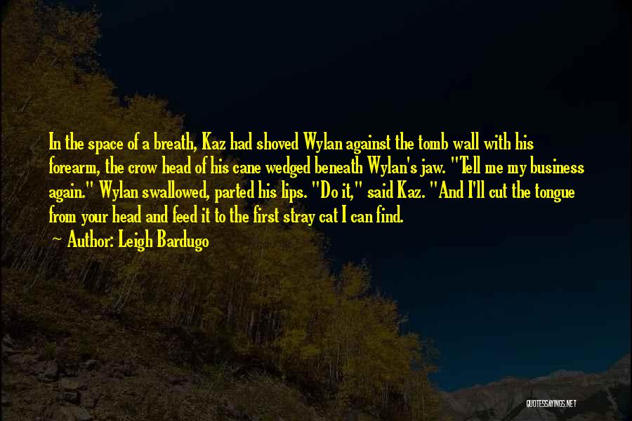 Leigh Bardugo Quotes: In The Space Of A Breath, Kaz Had Shoved Wylan Against The Tomb Wall With His Forearm, The Crow Head