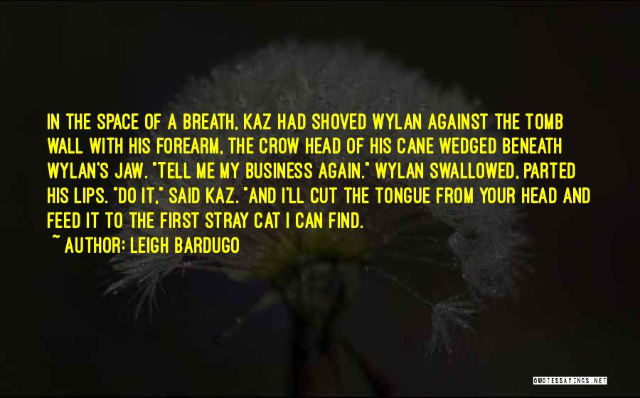 Leigh Bardugo Quotes: In The Space Of A Breath, Kaz Had Shoved Wylan Against The Tomb Wall With His Forearm, The Crow Head