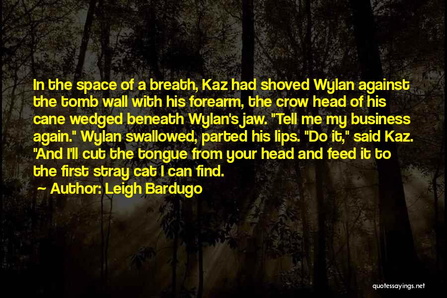 Leigh Bardugo Quotes: In The Space Of A Breath, Kaz Had Shoved Wylan Against The Tomb Wall With His Forearm, The Crow Head