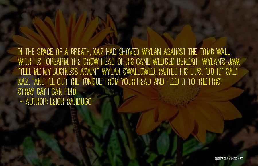 Leigh Bardugo Quotes: In The Space Of A Breath, Kaz Had Shoved Wylan Against The Tomb Wall With His Forearm, The Crow Head