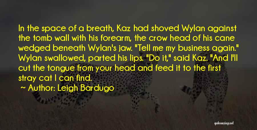 Leigh Bardugo Quotes: In The Space Of A Breath, Kaz Had Shoved Wylan Against The Tomb Wall With His Forearm, The Crow Head