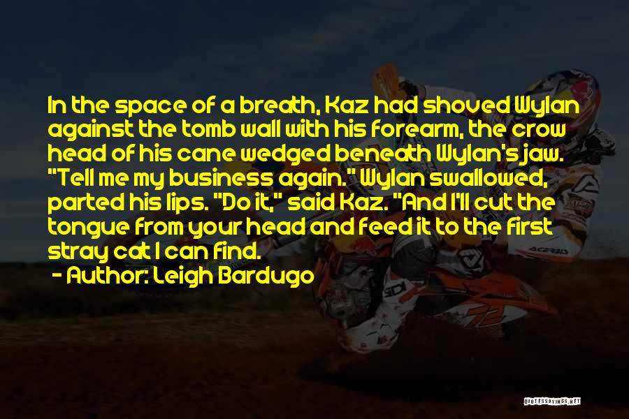 Leigh Bardugo Quotes: In The Space Of A Breath, Kaz Had Shoved Wylan Against The Tomb Wall With His Forearm, The Crow Head