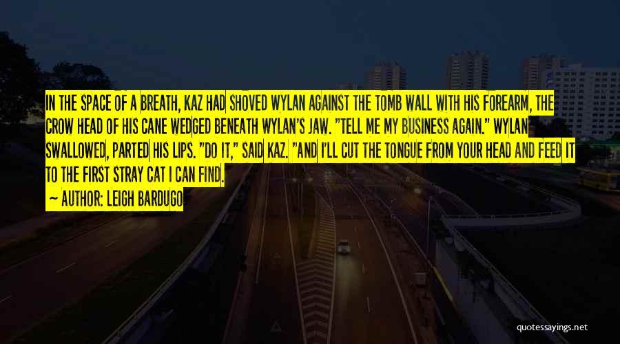 Leigh Bardugo Quotes: In The Space Of A Breath, Kaz Had Shoved Wylan Against The Tomb Wall With His Forearm, The Crow Head