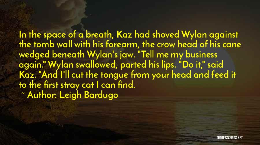 Leigh Bardugo Quotes: In The Space Of A Breath, Kaz Had Shoved Wylan Against The Tomb Wall With His Forearm, The Crow Head