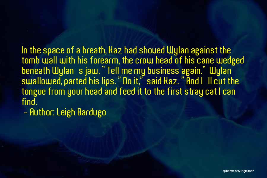 Leigh Bardugo Quotes: In The Space Of A Breath, Kaz Had Shoved Wylan Against The Tomb Wall With His Forearm, The Crow Head