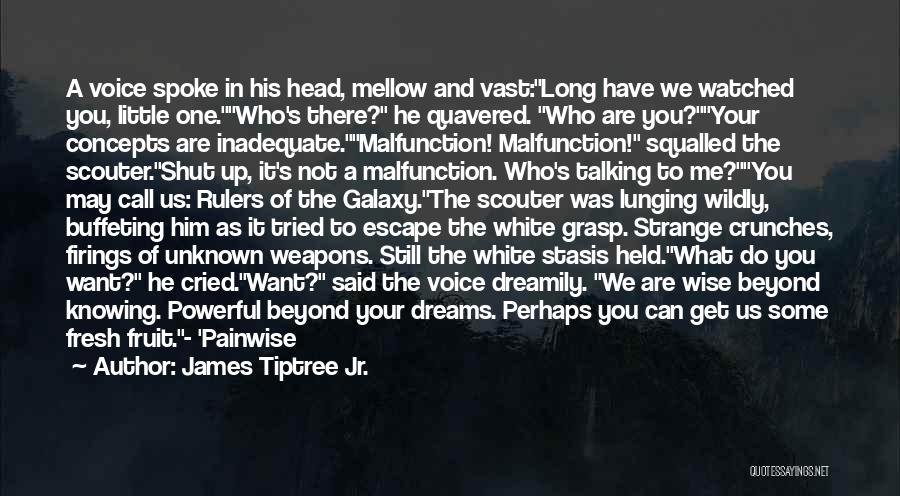 James Tiptree Jr. Quotes: A Voice Spoke In His Head, Mellow And Vast:long Have We Watched You, Little One.who's There? He Quavered. Who Are