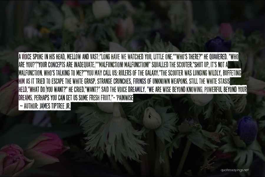 James Tiptree Jr. Quotes: A Voice Spoke In His Head, Mellow And Vast:long Have We Watched You, Little One.who's There? He Quavered. Who Are