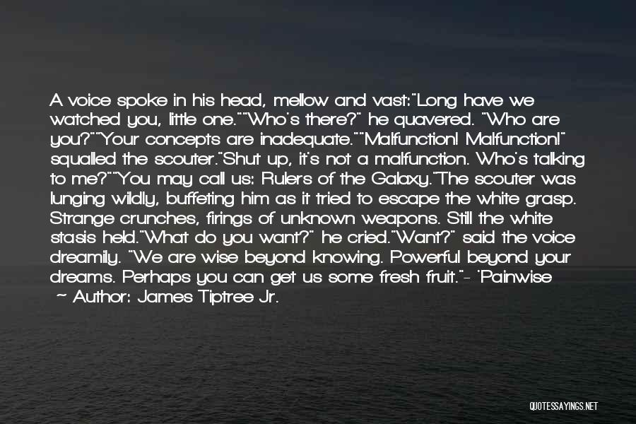 James Tiptree Jr. Quotes: A Voice Spoke In His Head, Mellow And Vast:long Have We Watched You, Little One.who's There? He Quavered. Who Are