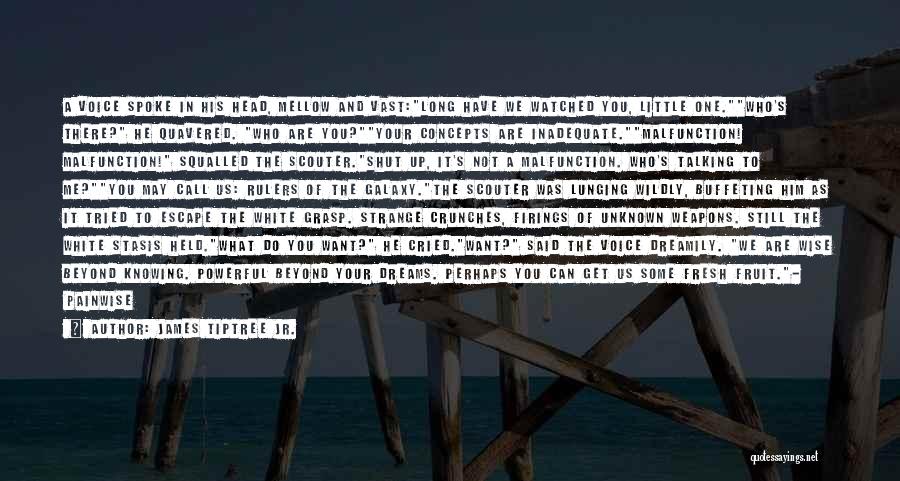 James Tiptree Jr. Quotes: A Voice Spoke In His Head, Mellow And Vast:long Have We Watched You, Little One.who's There? He Quavered. Who Are
