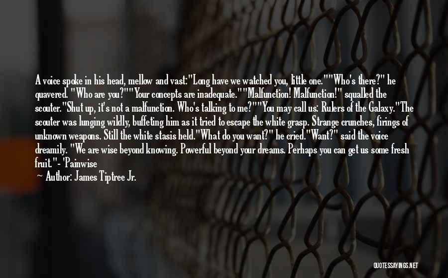 James Tiptree Jr. Quotes: A Voice Spoke In His Head, Mellow And Vast:long Have We Watched You, Little One.who's There? He Quavered. Who Are