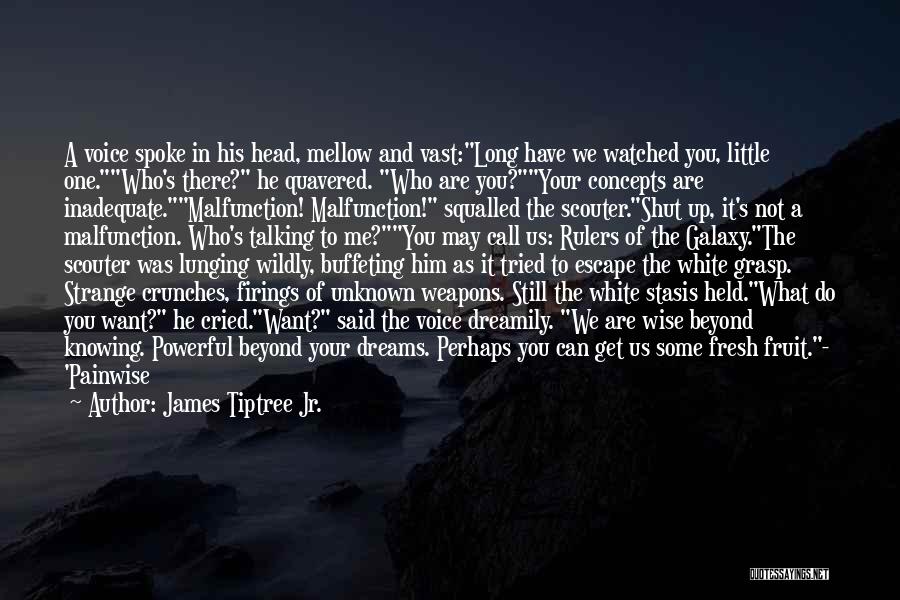 James Tiptree Jr. Quotes: A Voice Spoke In His Head, Mellow And Vast:long Have We Watched You, Little One.who's There? He Quavered. Who Are