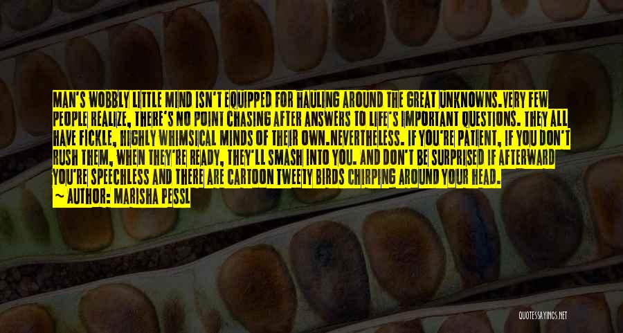 Marisha Pessl Quotes: Man's Wobbly Little Mind Isn't Equipped For Hauling Around The Great Unknowns.very Few People Realize, There's No Point Chasing After