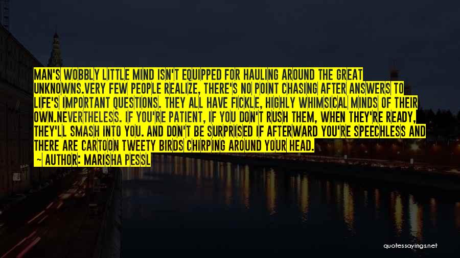 Marisha Pessl Quotes: Man's Wobbly Little Mind Isn't Equipped For Hauling Around The Great Unknowns.very Few People Realize, There's No Point Chasing After