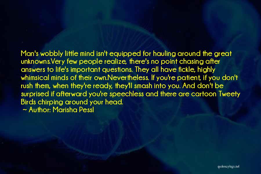 Marisha Pessl Quotes: Man's Wobbly Little Mind Isn't Equipped For Hauling Around The Great Unknowns.very Few People Realize, There's No Point Chasing After