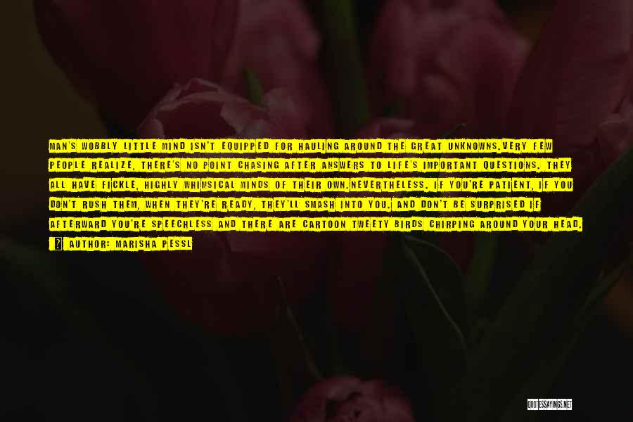 Marisha Pessl Quotes: Man's Wobbly Little Mind Isn't Equipped For Hauling Around The Great Unknowns.very Few People Realize, There's No Point Chasing After