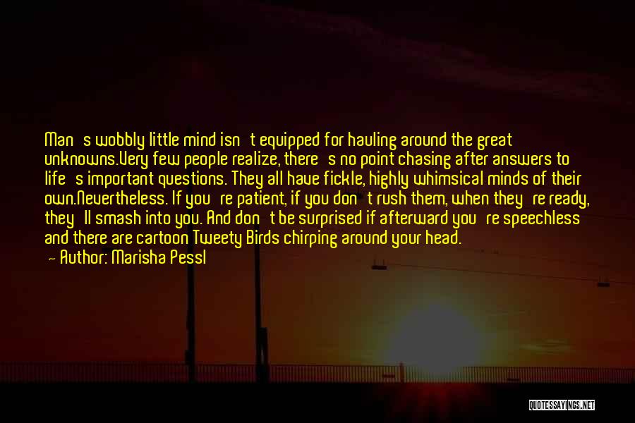 Marisha Pessl Quotes: Man's Wobbly Little Mind Isn't Equipped For Hauling Around The Great Unknowns.very Few People Realize, There's No Point Chasing After