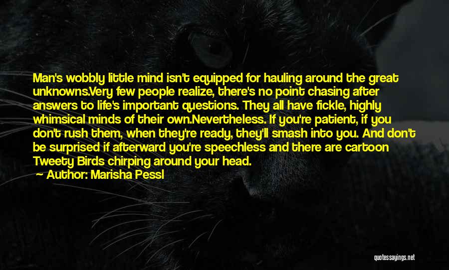 Marisha Pessl Quotes: Man's Wobbly Little Mind Isn't Equipped For Hauling Around The Great Unknowns.very Few People Realize, There's No Point Chasing After