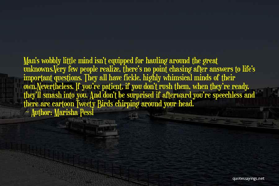 Marisha Pessl Quotes: Man's Wobbly Little Mind Isn't Equipped For Hauling Around The Great Unknowns.very Few People Realize, There's No Point Chasing After
