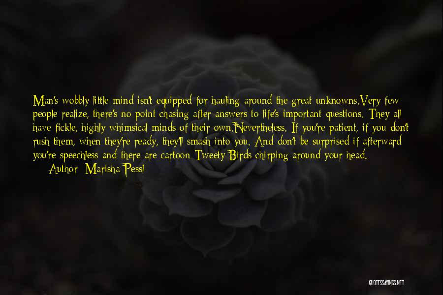 Marisha Pessl Quotes: Man's Wobbly Little Mind Isn't Equipped For Hauling Around The Great Unknowns.very Few People Realize, There's No Point Chasing After