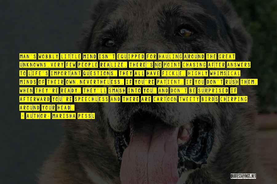 Marisha Pessl Quotes: Man's Wobbly Little Mind Isn't Equipped For Hauling Around The Great Unknowns.very Few People Realize, There's No Point Chasing After