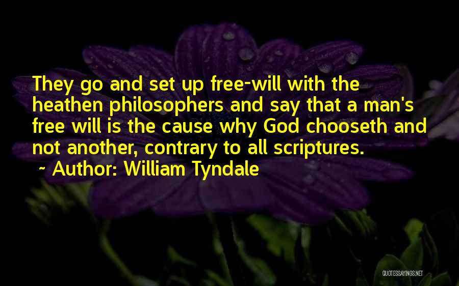 William Tyndale Quotes: They Go And Set Up Free-will With The Heathen Philosophers And Say That A Man's Free Will Is The Cause