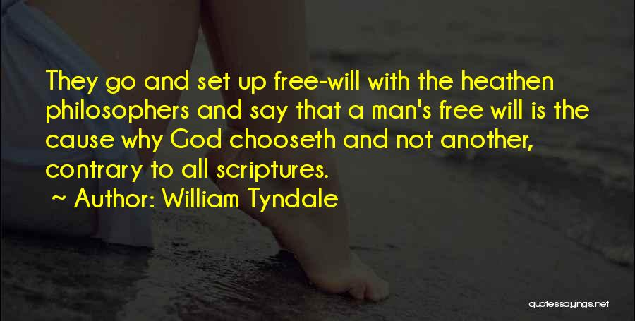 William Tyndale Quotes: They Go And Set Up Free-will With The Heathen Philosophers And Say That A Man's Free Will Is The Cause