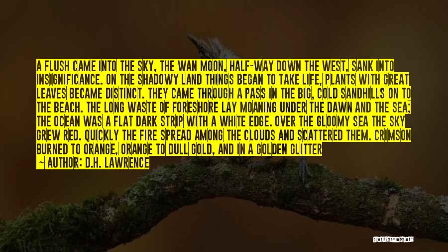 D.H. Lawrence Quotes: A Flush Came Into The Sky, The Wan Moon, Half-way Down The West, Sank Into Insignificance. On The Shadowy Land