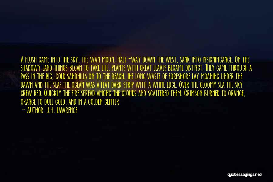 D.H. Lawrence Quotes: A Flush Came Into The Sky, The Wan Moon, Half-way Down The West, Sank Into Insignificance. On The Shadowy Land