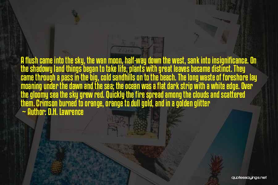 D.H. Lawrence Quotes: A Flush Came Into The Sky, The Wan Moon, Half-way Down The West, Sank Into Insignificance. On The Shadowy Land