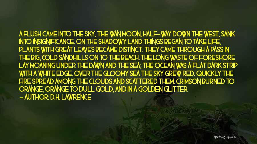 D.H. Lawrence Quotes: A Flush Came Into The Sky, The Wan Moon, Half-way Down The West, Sank Into Insignificance. On The Shadowy Land