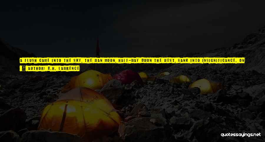 D.H. Lawrence Quotes: A Flush Came Into The Sky, The Wan Moon, Half-way Down The West, Sank Into Insignificance. On The Shadowy Land