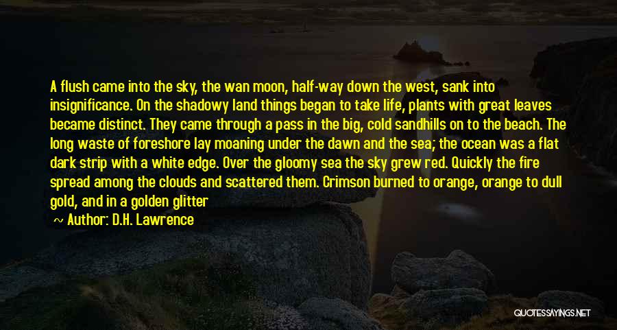 D.H. Lawrence Quotes: A Flush Came Into The Sky, The Wan Moon, Half-way Down The West, Sank Into Insignificance. On The Shadowy Land