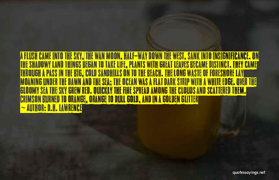 D.H. Lawrence Quotes: A Flush Came Into The Sky, The Wan Moon, Half-way Down The West, Sank Into Insignificance. On The Shadowy Land
