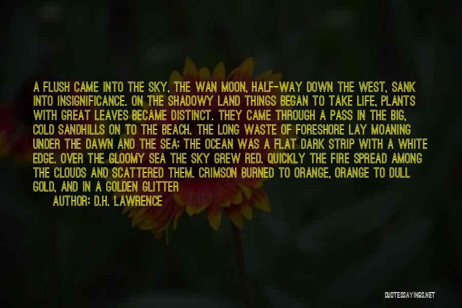 D.H. Lawrence Quotes: A Flush Came Into The Sky, The Wan Moon, Half-way Down The West, Sank Into Insignificance. On The Shadowy Land