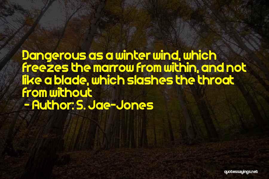 S. Jae-Jones Quotes: Dangerous As A Winter Wind, Which Freezes The Marrow From Within, And Not Like A Blade, Which Slashes The Throat