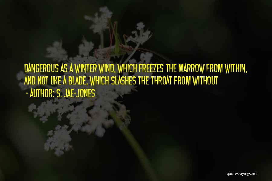 S. Jae-Jones Quotes: Dangerous As A Winter Wind, Which Freezes The Marrow From Within, And Not Like A Blade, Which Slashes The Throat