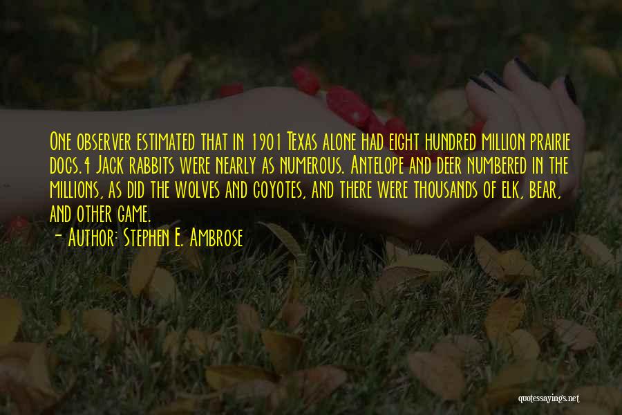 Stephen E. Ambrose Quotes: One Observer Estimated That In 1901 Texas Alone Had Eight Hundred Million Prairie Dogs.4 Jack Rabbits Were Nearly As Numerous.