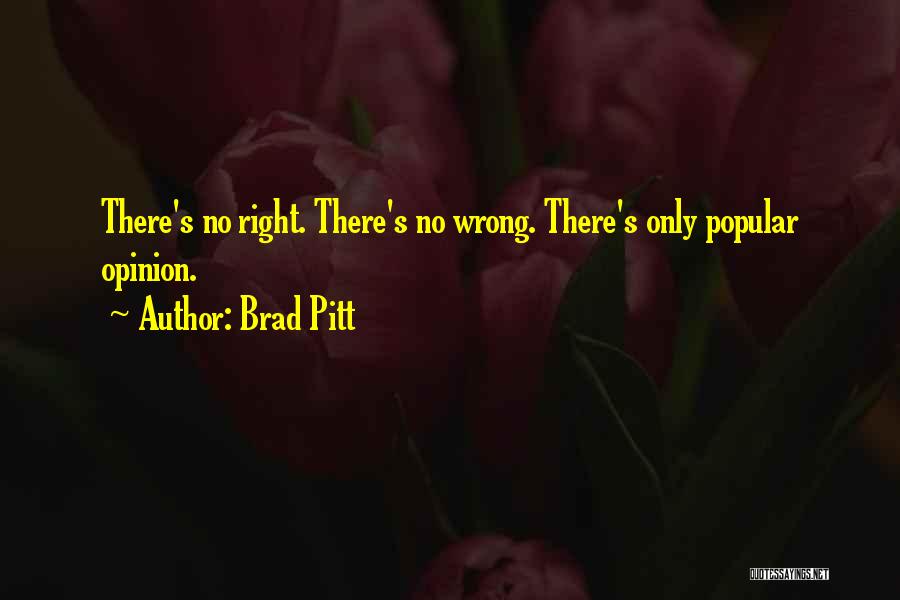 Brad Pitt Quotes: There's No Right. There's No Wrong. There's Only Popular Opinion.