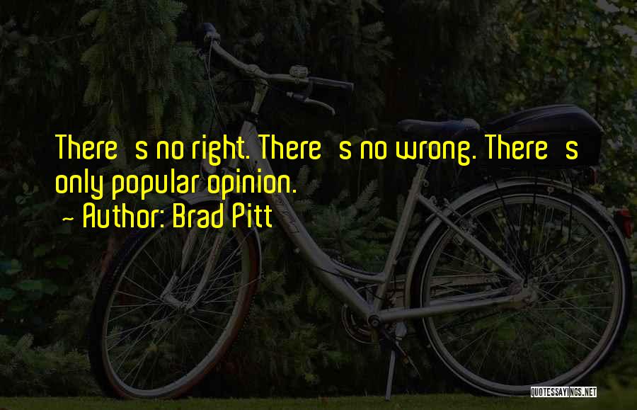 Brad Pitt Quotes: There's No Right. There's No Wrong. There's Only Popular Opinion.