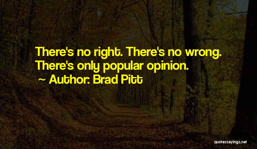 Brad Pitt Quotes: There's No Right. There's No Wrong. There's Only Popular Opinion.