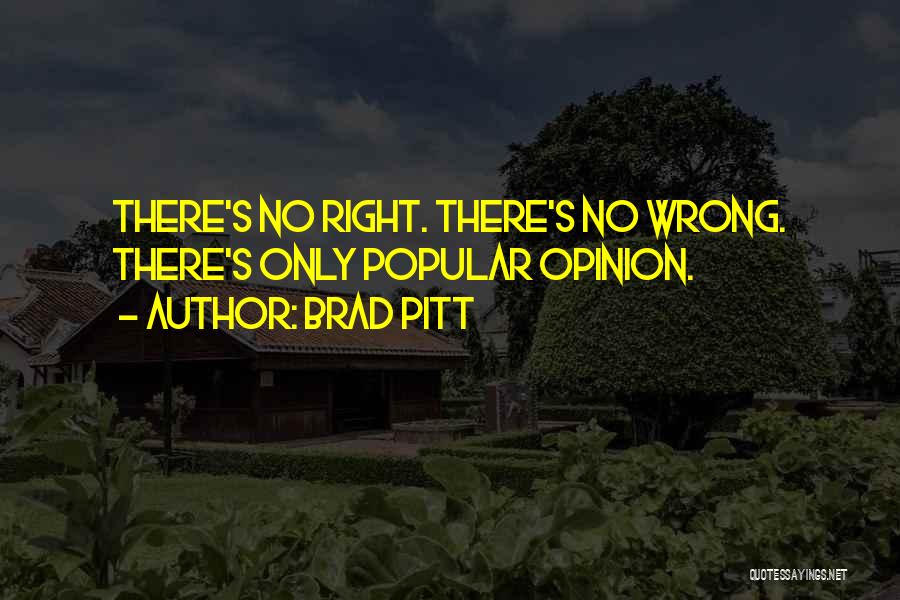 Brad Pitt Quotes: There's No Right. There's No Wrong. There's Only Popular Opinion.