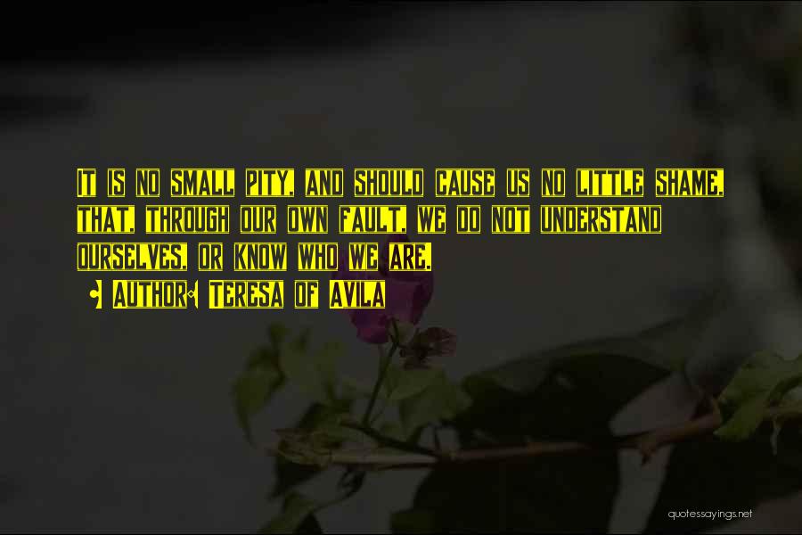 Teresa Of Avila Quotes: It Is No Small Pity, And Should Cause Us No Little Shame, That, Through Our Own Fault, We Do Not