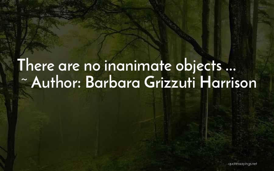 Barbara Grizzuti Harrison Quotes: There Are No Inanimate Objects ...
